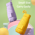 Folding Umbrella